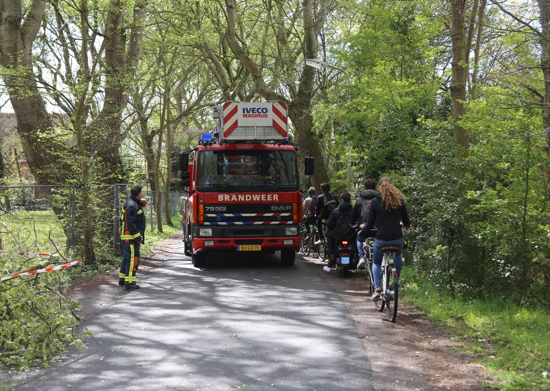 Grote tak breekt af Westeinde Noordwijkerhout